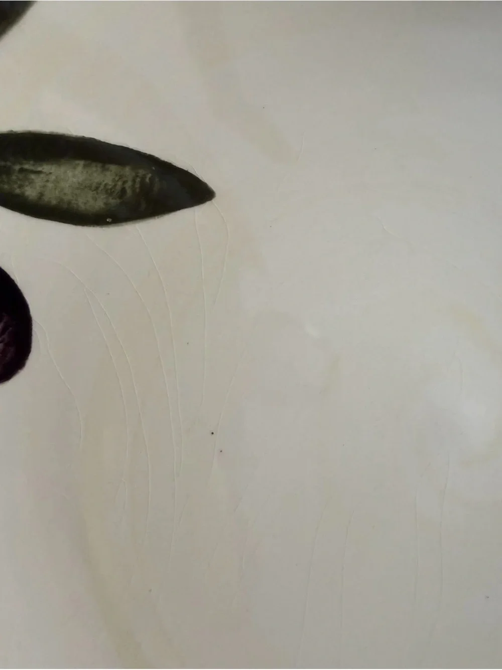 Williams Sonoma Liguria Black Olive 13